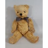 1950s Teddy Bear by Pedigree with golden plush, jointed body, moulded plastic black nose, stitched
