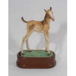 Royal Worcester Limited Edition Thoroughbred Foal modelled by Doris Lindner, 1980, no 10. Height