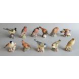 Eleven Royal Worcester figures of small garden birds comprising Goldfinch, Robin, Gold Crest,