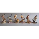 Six Royal Worcester figures, each a pair of perching garden birds comprising Blue Tits, Woodpeckers,