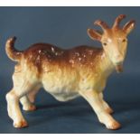 A Coopercraft porcelain model of a curly horned ram and a Melba Hereford Bull and Billy Goat (3)