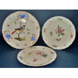 A pair of 19th century continental porcelain plate with hand painted floral panels, and a further