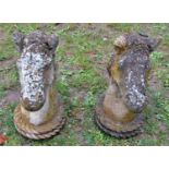 A pair of weathered cast composition stone pier cap finials in the form of horses heads, 49cm
