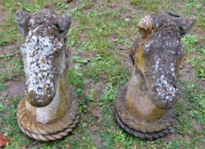 A pair of weathered cast composition stone pier cap finials in the form of horses heads, 49cm