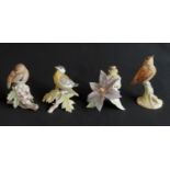 Four Royal Worcester fledgling garden birds, 1977-1978, mounted on flowers, branches and leaves,