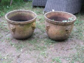 A pair of weathered buff coloured terracotta circular tapered planters with moulded rims and