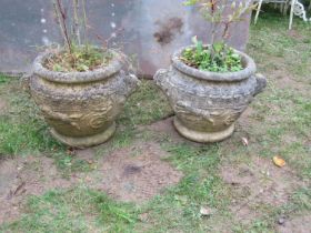 A pair of weathered cast composition stone circular garden planters in the form of Roman urns with