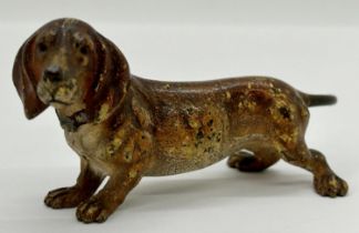 A cold painted figure of a Bronze Dachshund, 8cm long