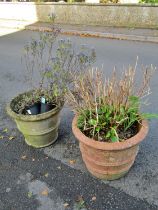 A weathered terracotta circular ribbed planter with moulded rim 58 cm diameter x 42 cm high together