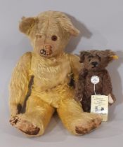 Vintage teddy bear, probably by Chad Valley with pronounced muzzle, stitched nose and velveteen