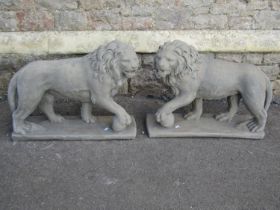 A pair of cast composition stone garden ornaments in the form of standing lions set on rectangular