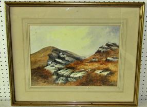 Berrisford-Hill, (B. 1930) 'Ptarmigan amongst the rocks', watercolour, signed lower right,