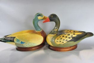 A large pair of decorative 20th century painted plaster ducks, on polished wooden bases, each