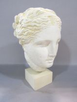 A Plaster bust of Hygeia raised on a square plinth, 28cm high.