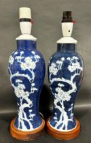 Chinese oviform vase adapted as a lamp hawthorn pattern detail, two Chinese plates – 19th century/