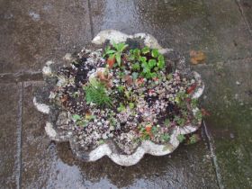 A small weathered composition stone planter or ex-bird bath of shell form, 54cm x 49cm x 16cm high