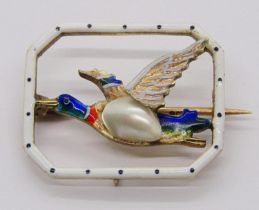 Edwardian 15ct enamelled brooch in the form of a mallard in flight, with blister pearl body, pin