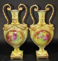 A pair of double handled vases with floral panels, a pair of tall narrow double handled vases, a