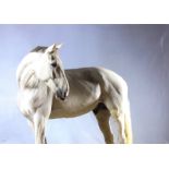 Christian Schwetz (1967-2022), Studies of a white horse, photographic print on paper, signed,