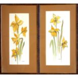 J. B. Parslew, 4 studies of daffodils, watercolour, signed, 41.7 x 18.2cm. (4)