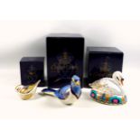 Royal Crown Derby Swan paperweight, W.13cm; Blue Jay, W.17.5cm; and Firecrest, for the Royal Crown