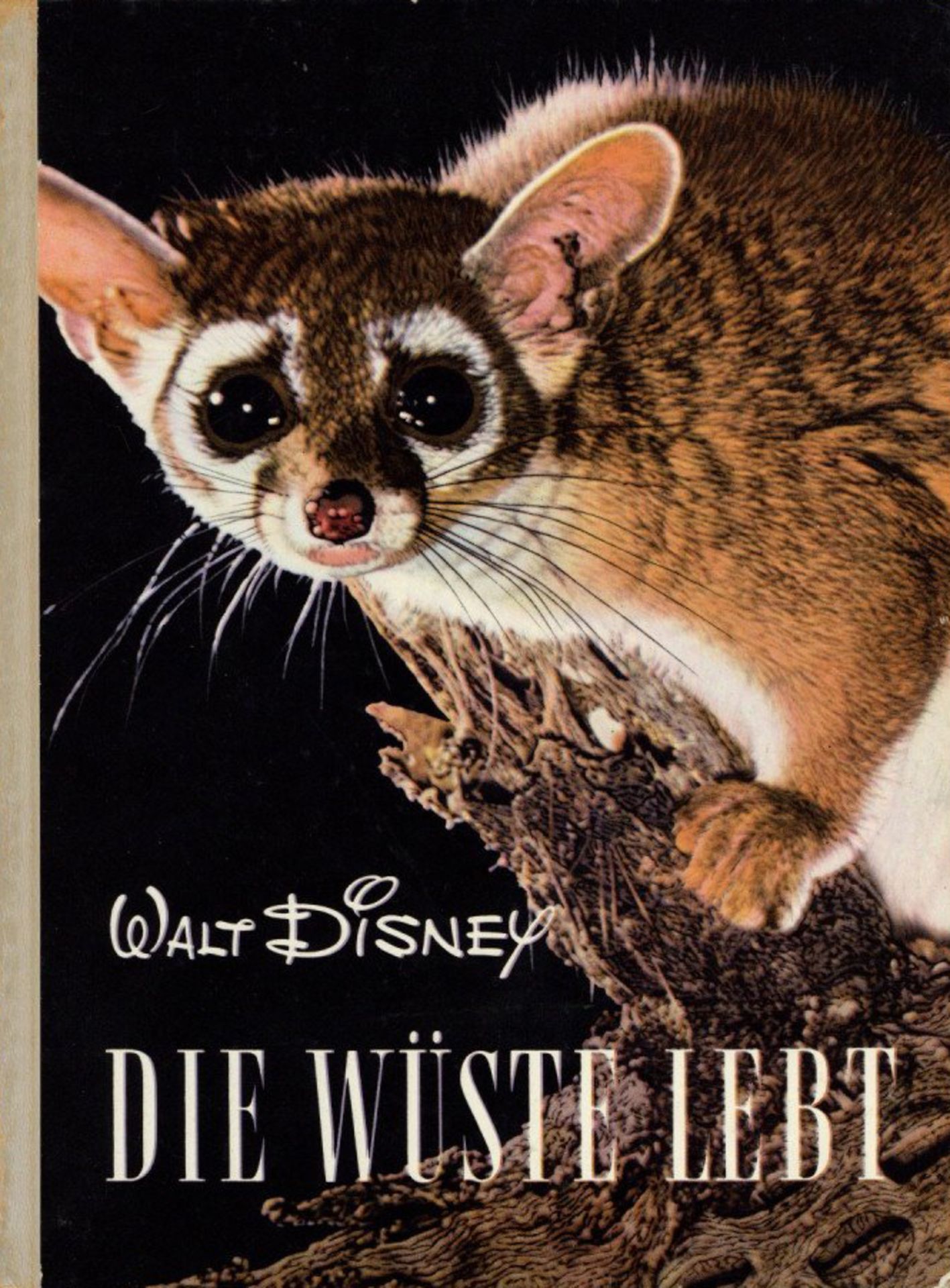 Buch Walt Disney Die Wüste lebt, nach dem Film beschrieben von Hausmann, Manfred 1955, Bertelsmann-