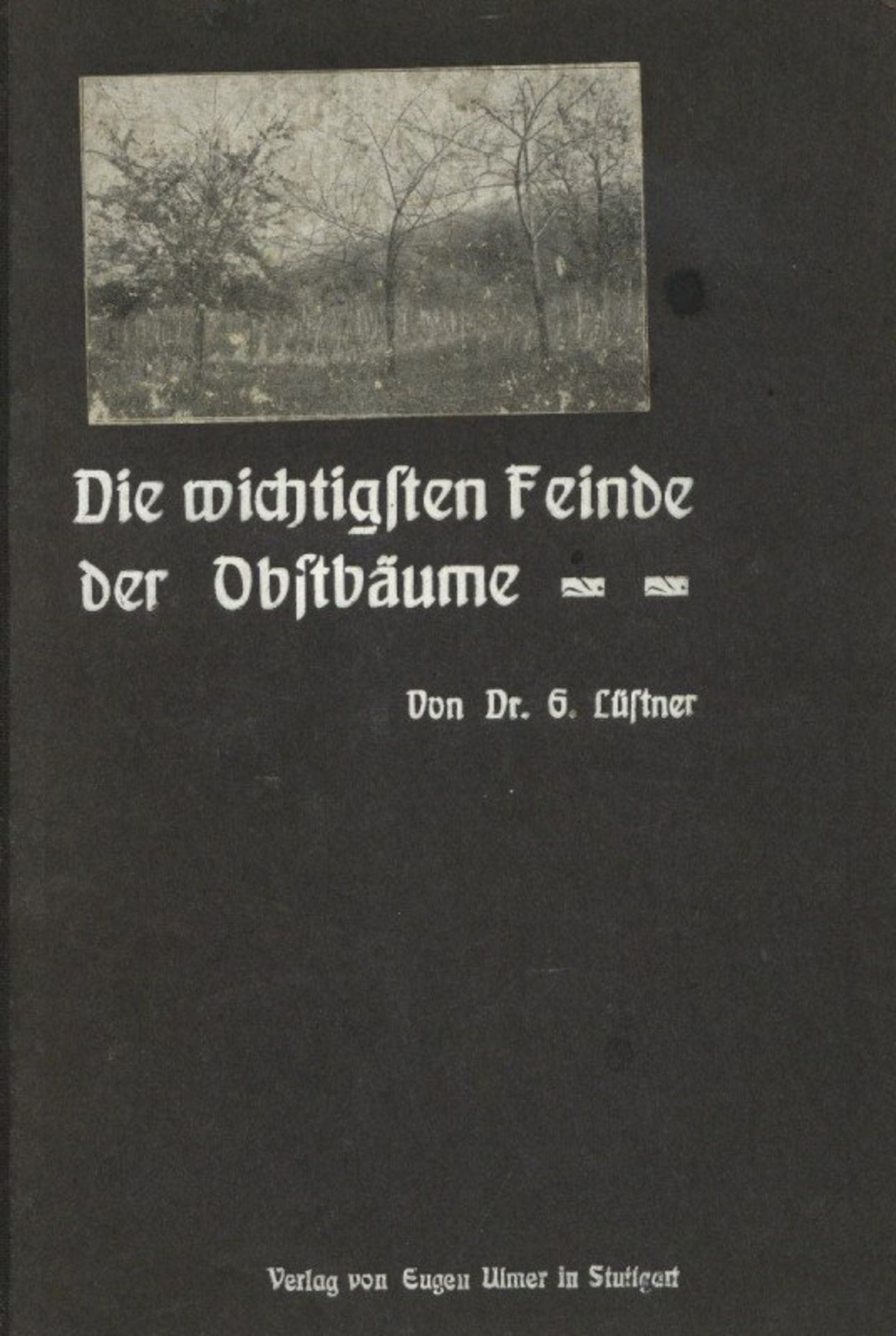 Wein Buch Die wichtigsten Feinde der Obstbäume Hrsg. Lüstner, Gustav 1907 Verlag Ulmer, Eugen