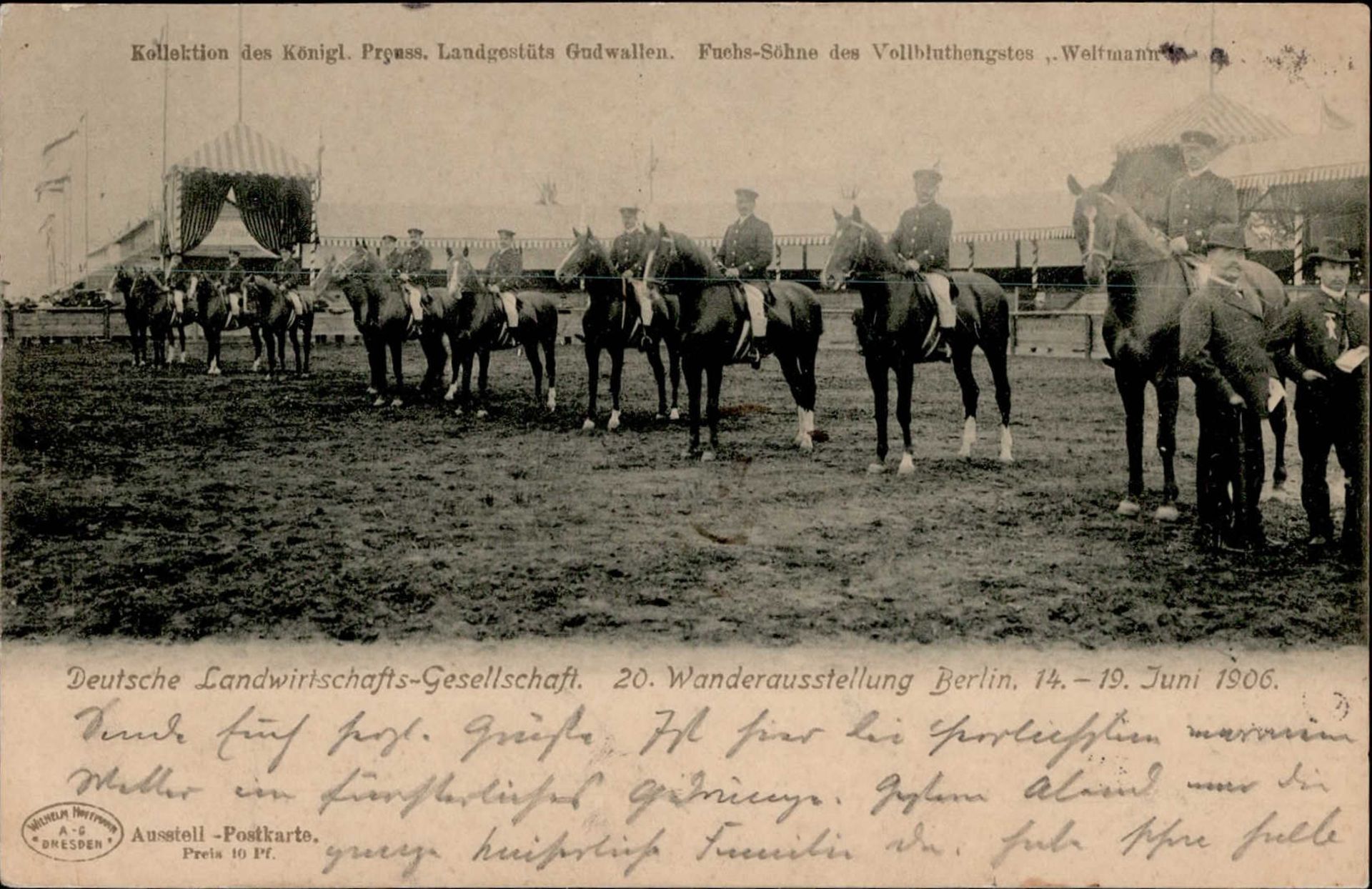 BERLIN - 20. Wanderausstellung d. DEUTSCHEN LANDWIRTSCHAFTS-GESELLSCHAFT 1906 - Pferde d. Königöl.