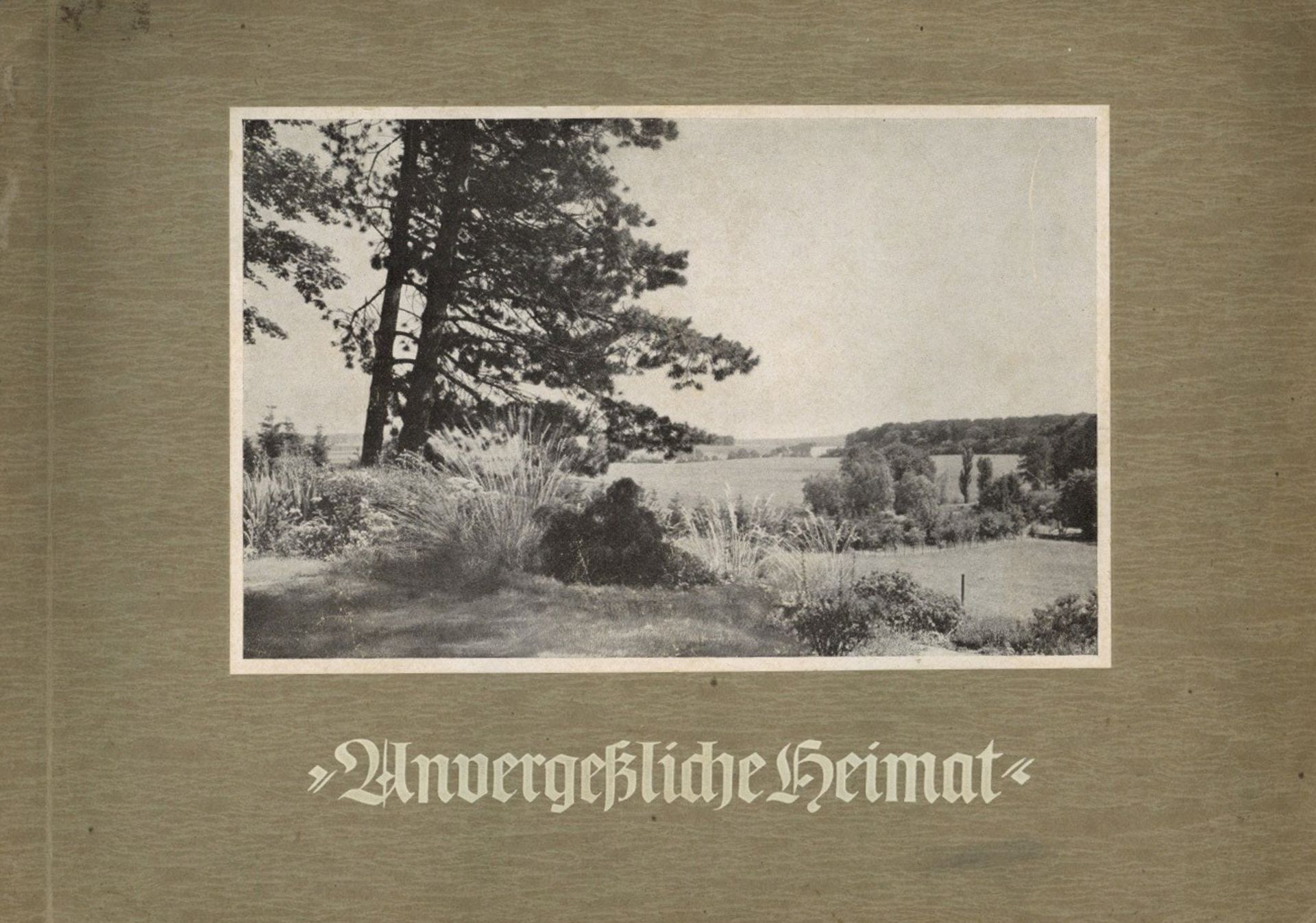 Sammelbild-Album Unvergessliche Heimat Hrsg. Greiling -Bilderstelle Lensahn-Ostholstein 186 Bilder