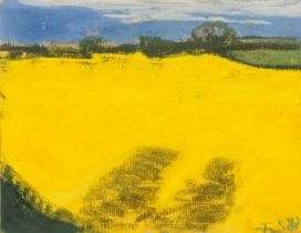 Fußmann, Klaus (Velbert 1938). Blossoming Rapeseed.