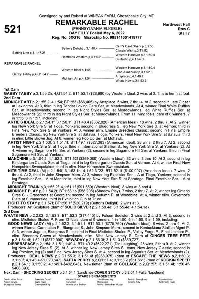 2023 Standardbred Horse Sales Company Annual Sale (Day 3)