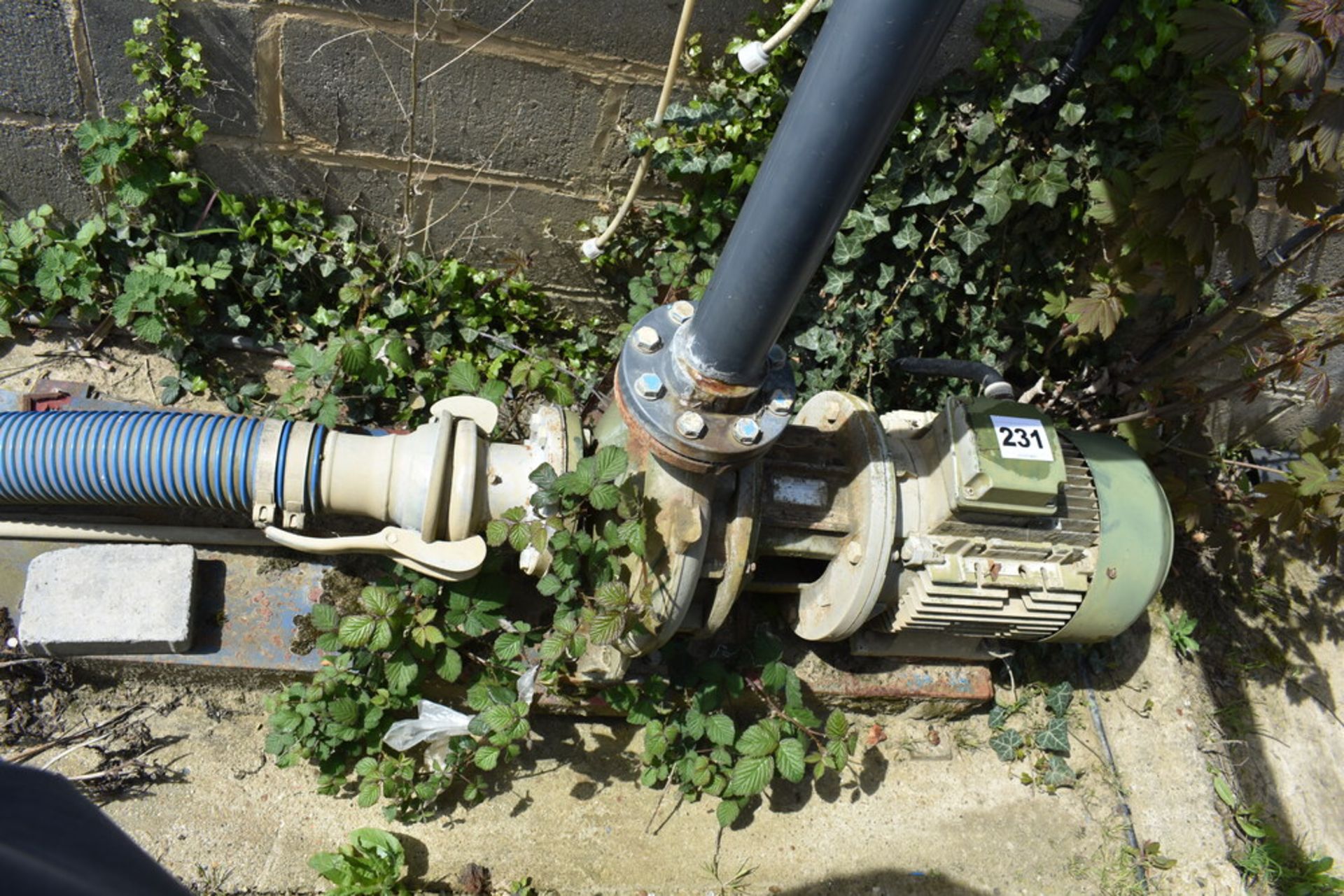 DAB Electric pump c/w Hose *In Situ*