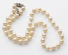 A PEARL NECKLACE