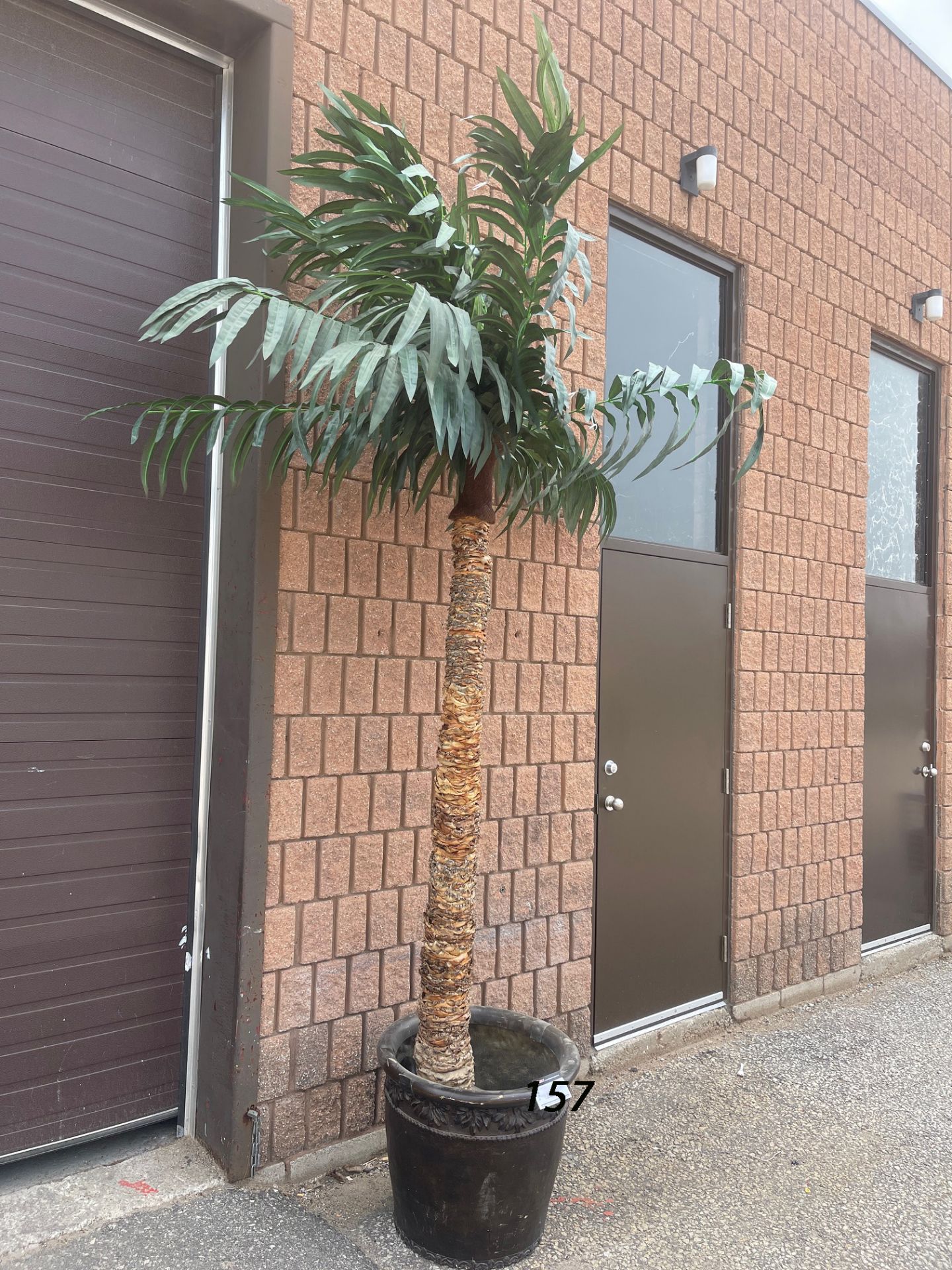 ARTIFICIAL PALM TREE, TREE BARK 84” HEIGHT WITH THE LEAVES 132” COMES WITH LARGE FLOWER POT - Image 10 of 13