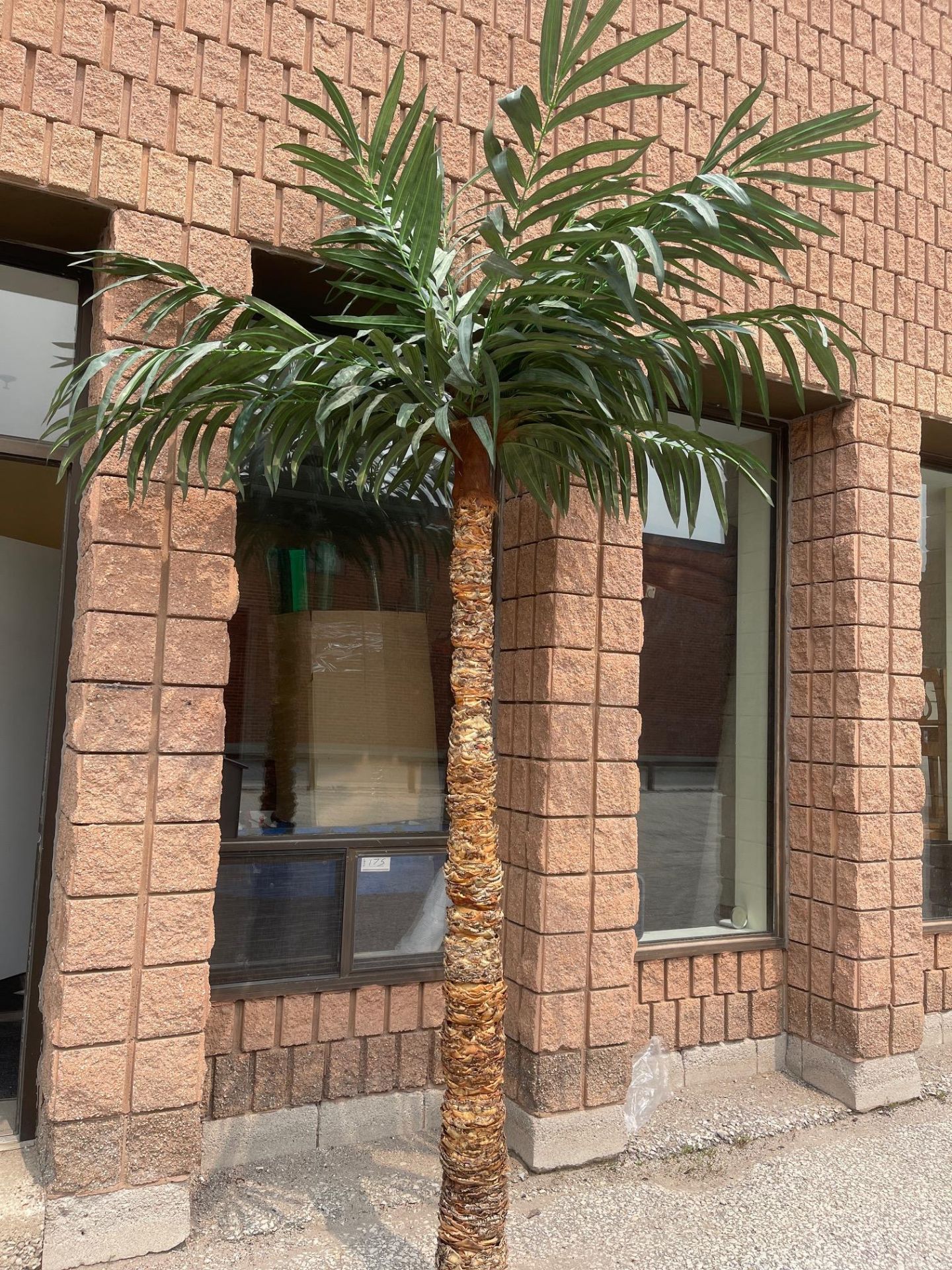 ARTIFICIAL PALM TREE, TREE BARK 84” HEIGHT WITH THE LEAVES 132” COMES WITH LARGE FLOWER POT - Image 3 of 7