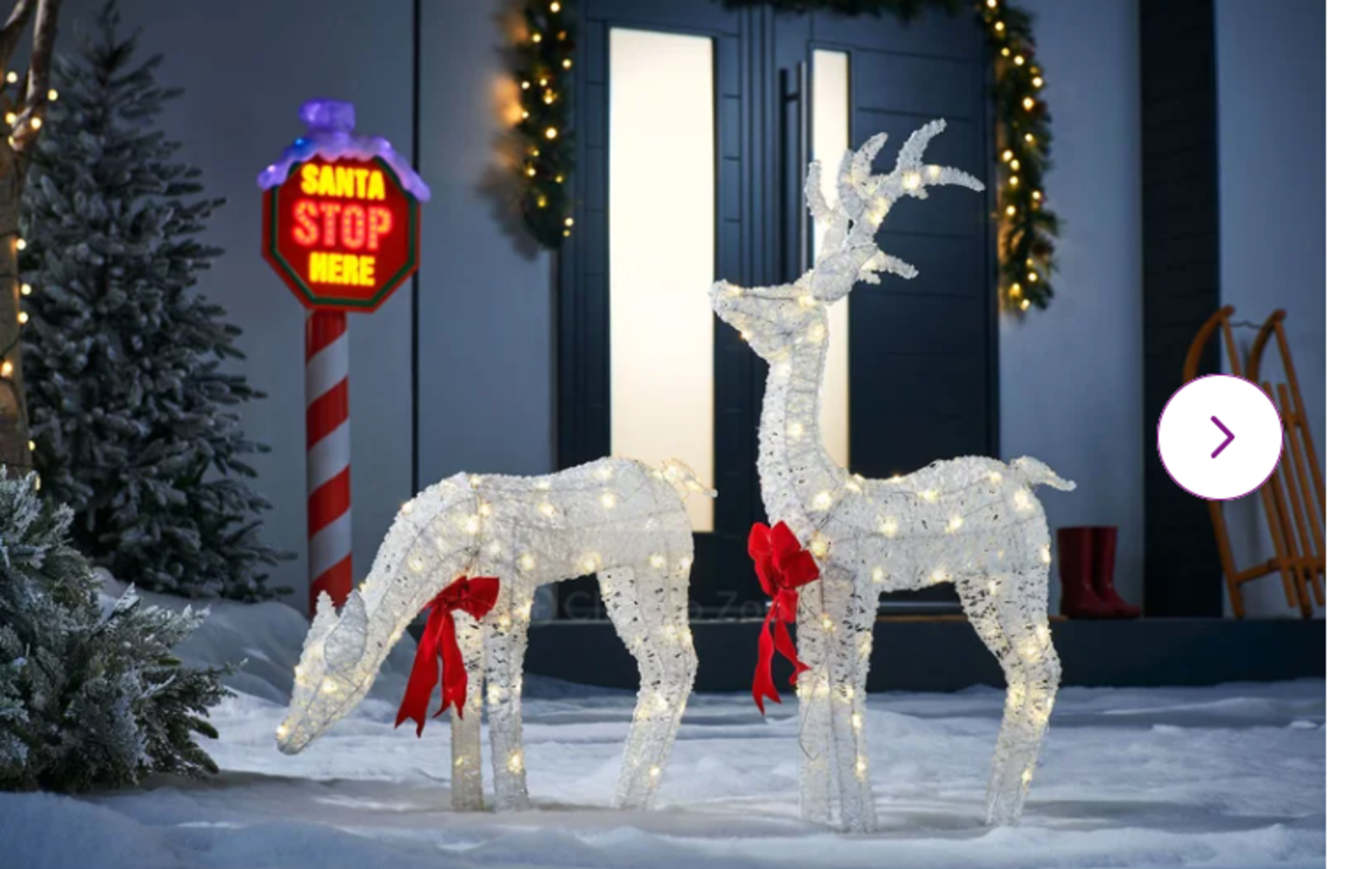 2 Piece Deer and Reindeer Lighted Display Set - U3