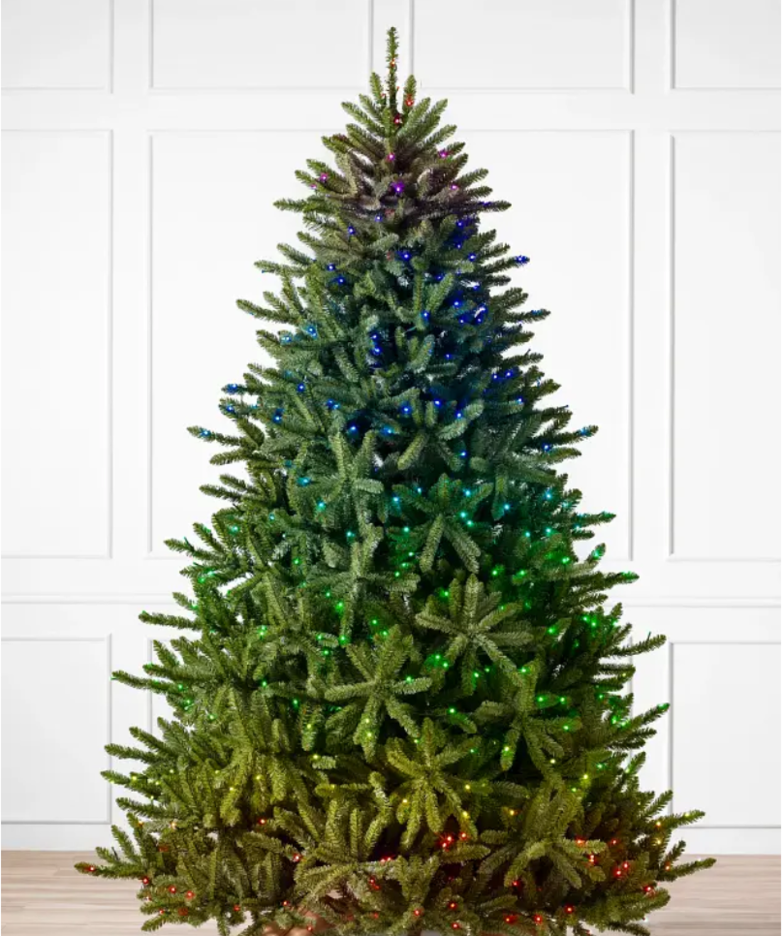 BH (The worlds leading Christmas Trees) Canadian Blue Green Spruce 6ft with LED Twinkly Lights.