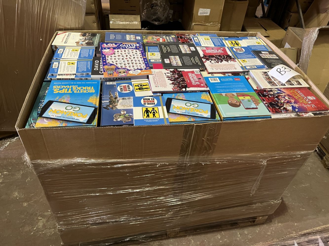 Pallets of Mixed New Book Stock - Including Many Current Titles - Collection & Delivery Available - NO VAT ON HAMMER