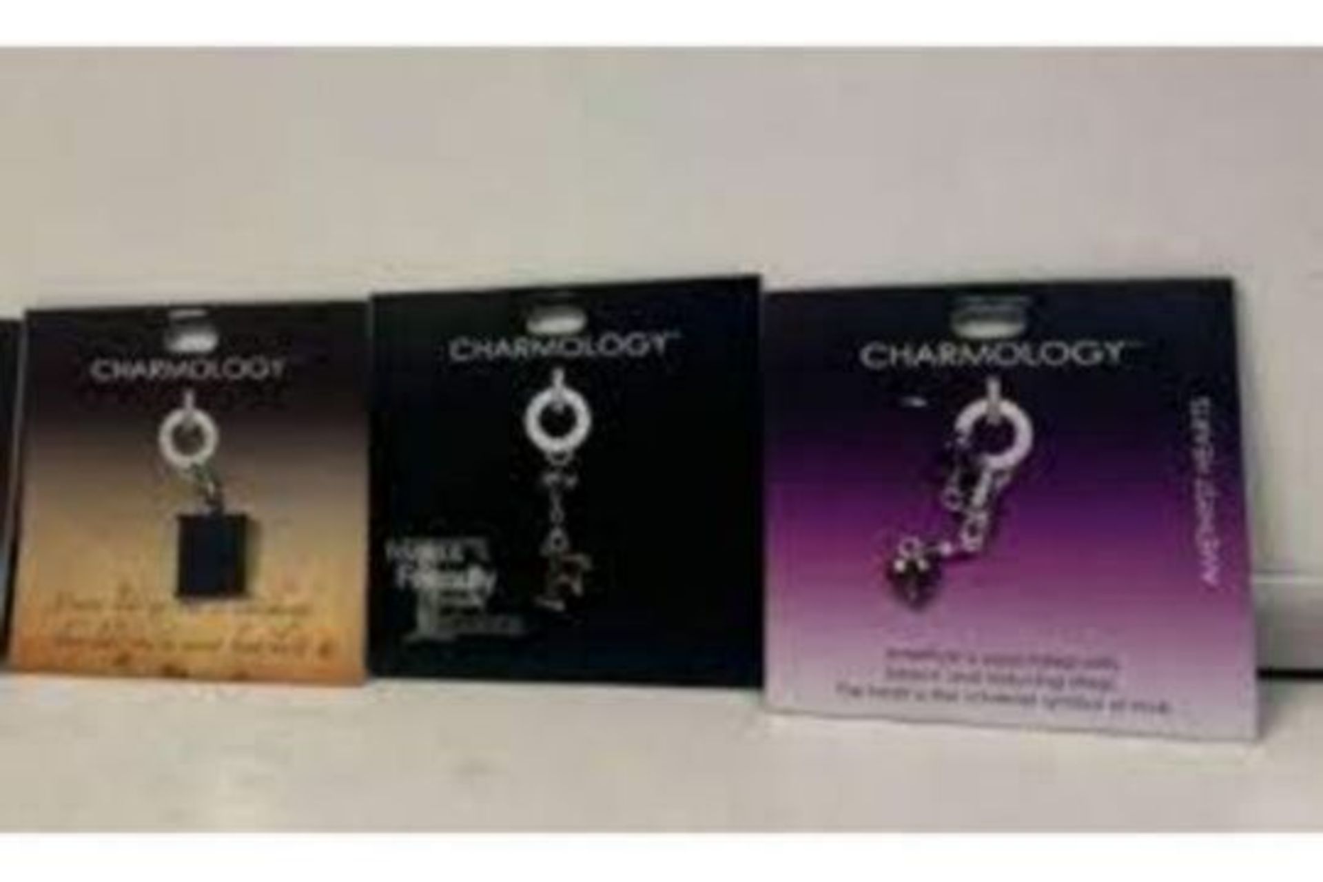 300 X BRAND NEW ASSORTED CHARM KEY CHAINS/BRACELETS IN VARIOUS DESIGNS R19-7