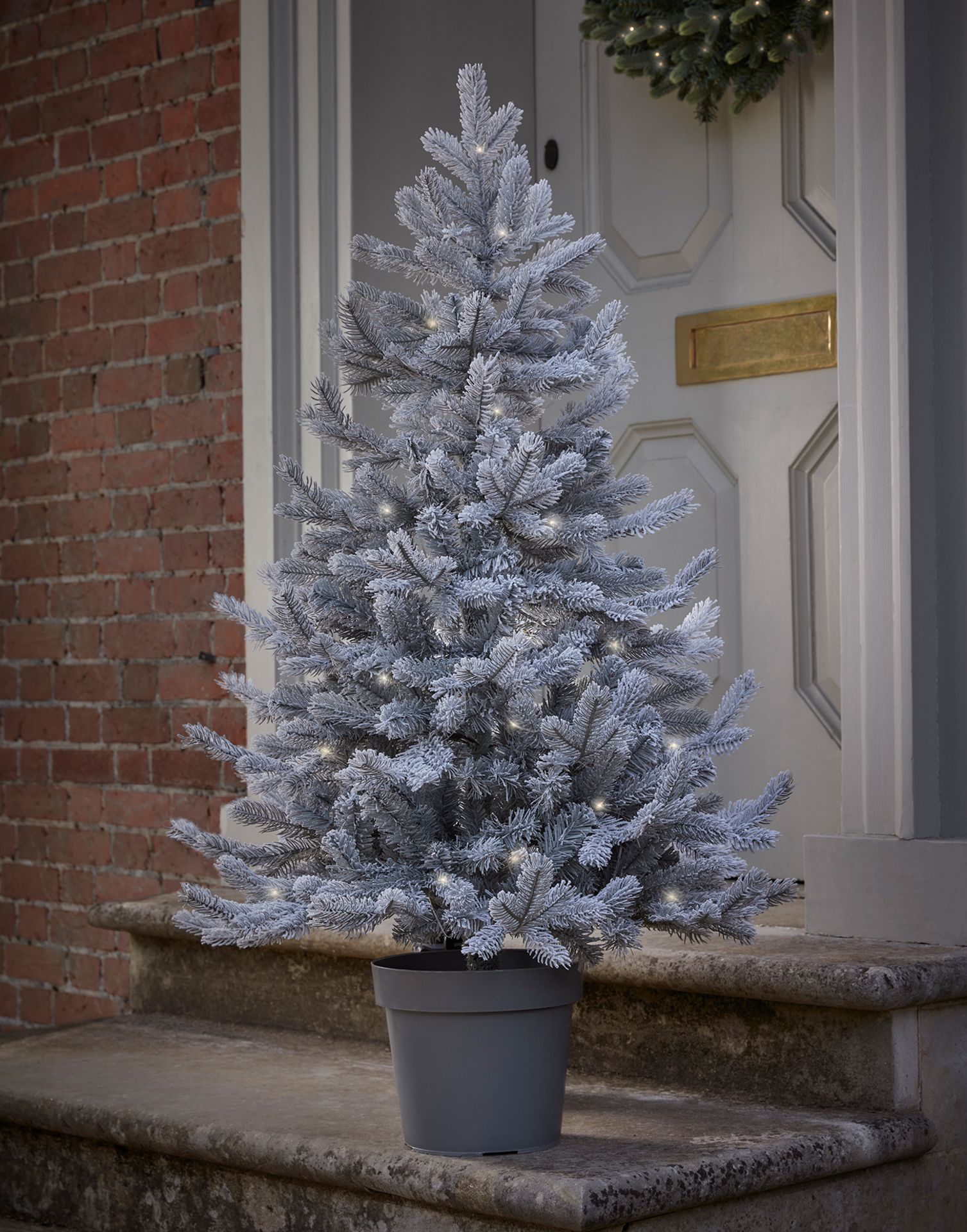 Cox & Cox Frosted Fir Pre-Lit Potted Tree. RRP £145.00. A pretty frosted pre-lit tree with bushy