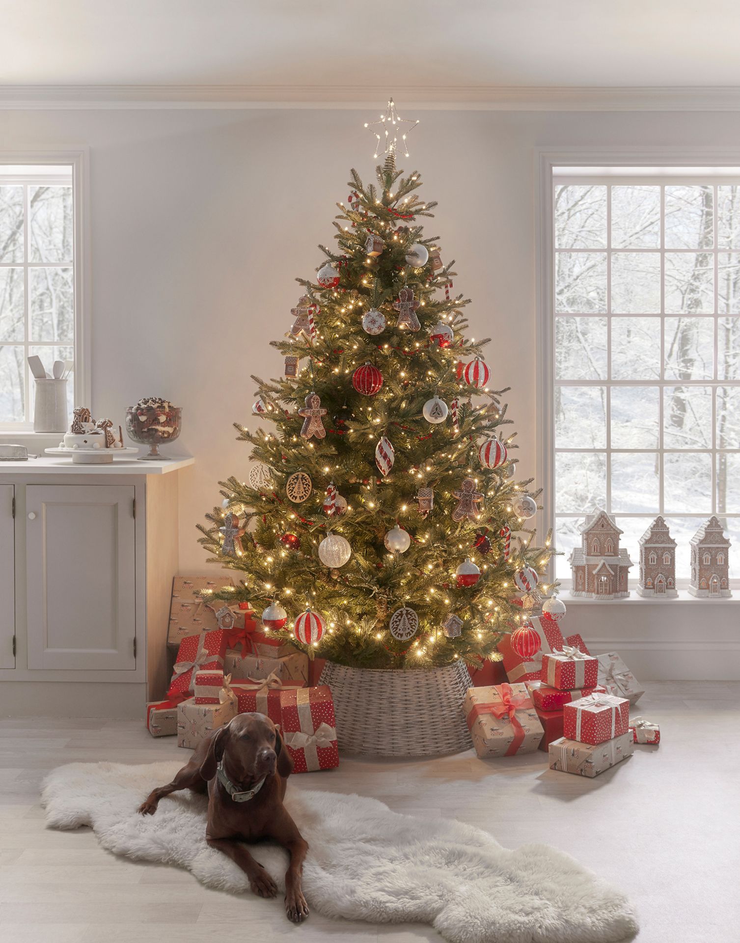 Cox & Cox 8ft Pre-Lit Aspen Mountain Spruce Christmas Tree. RRP £675.00. The perfect centrepiece for