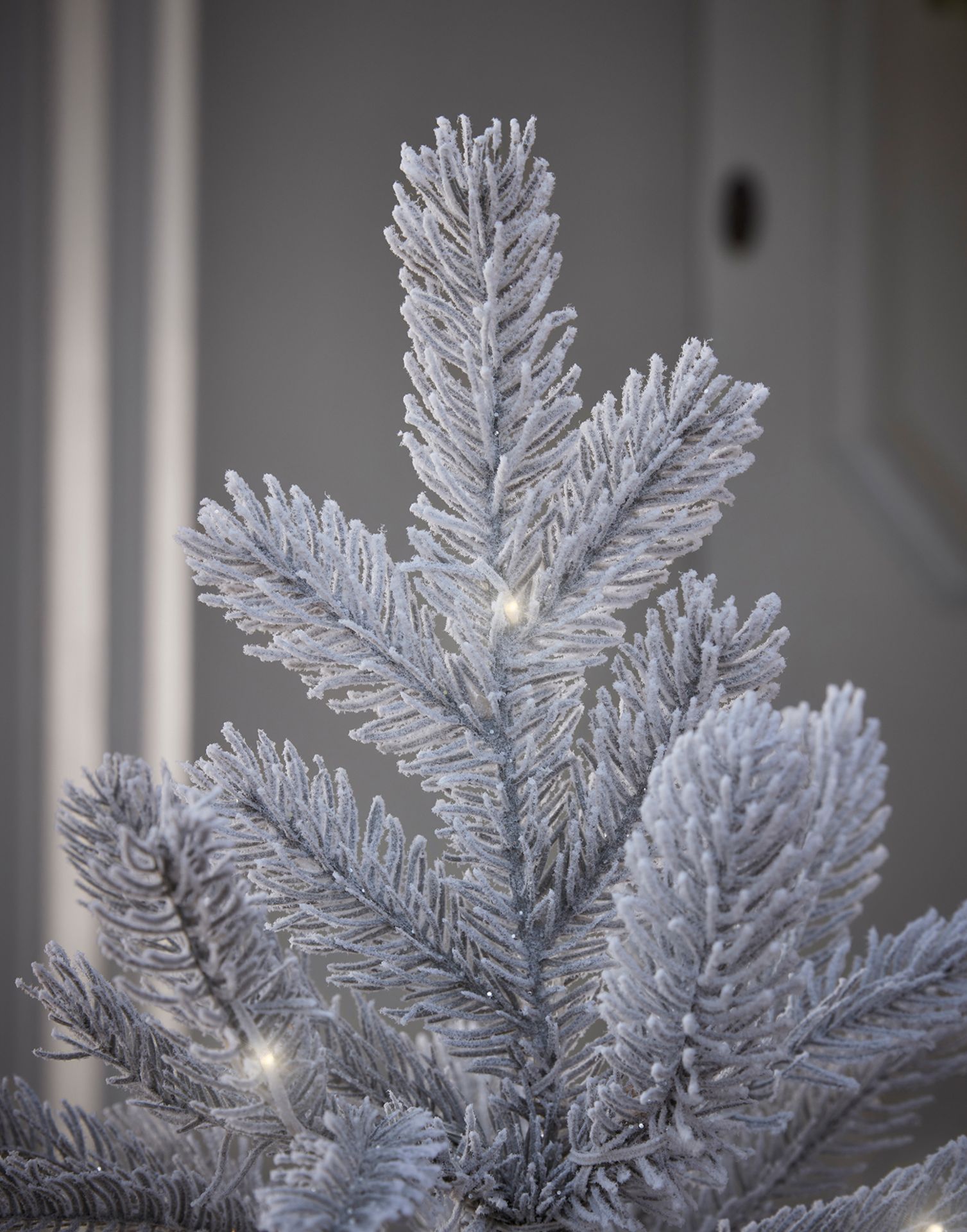 Cox & Cox Frosted Fir Pre-Lit Potted Tree. RRP £145.00. A pretty frosted pre-lit tree with bushy - Image 2 of 2