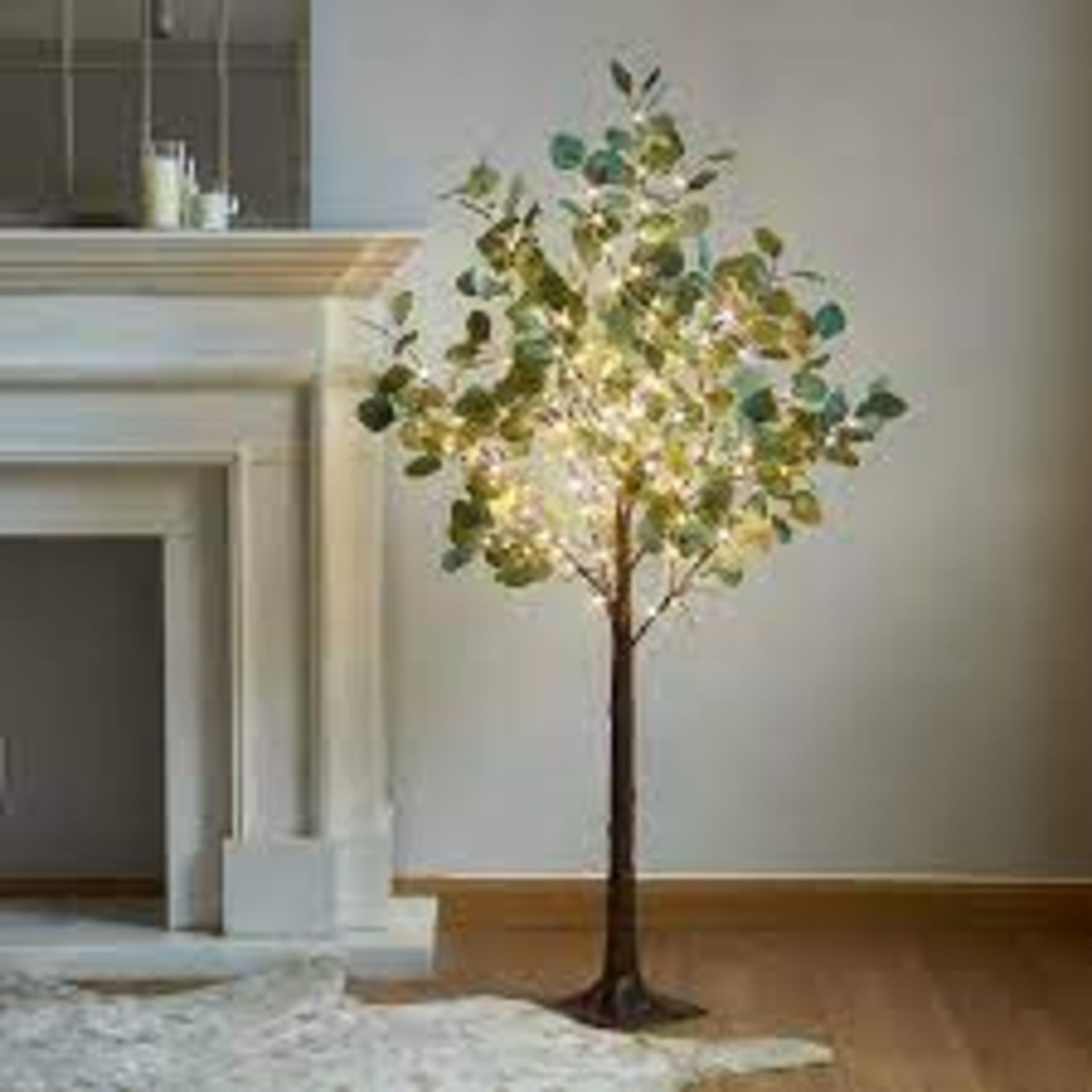 Cox & Cox Indoor Outdoor Light Up Eucalyptus Tree. RRP £250.00.