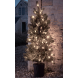 Cox & Cox Indoor Outdoor Pre-Lit Potted Tree. RRP £250.00. Our Pre-Lit Potted Tree can be positioned