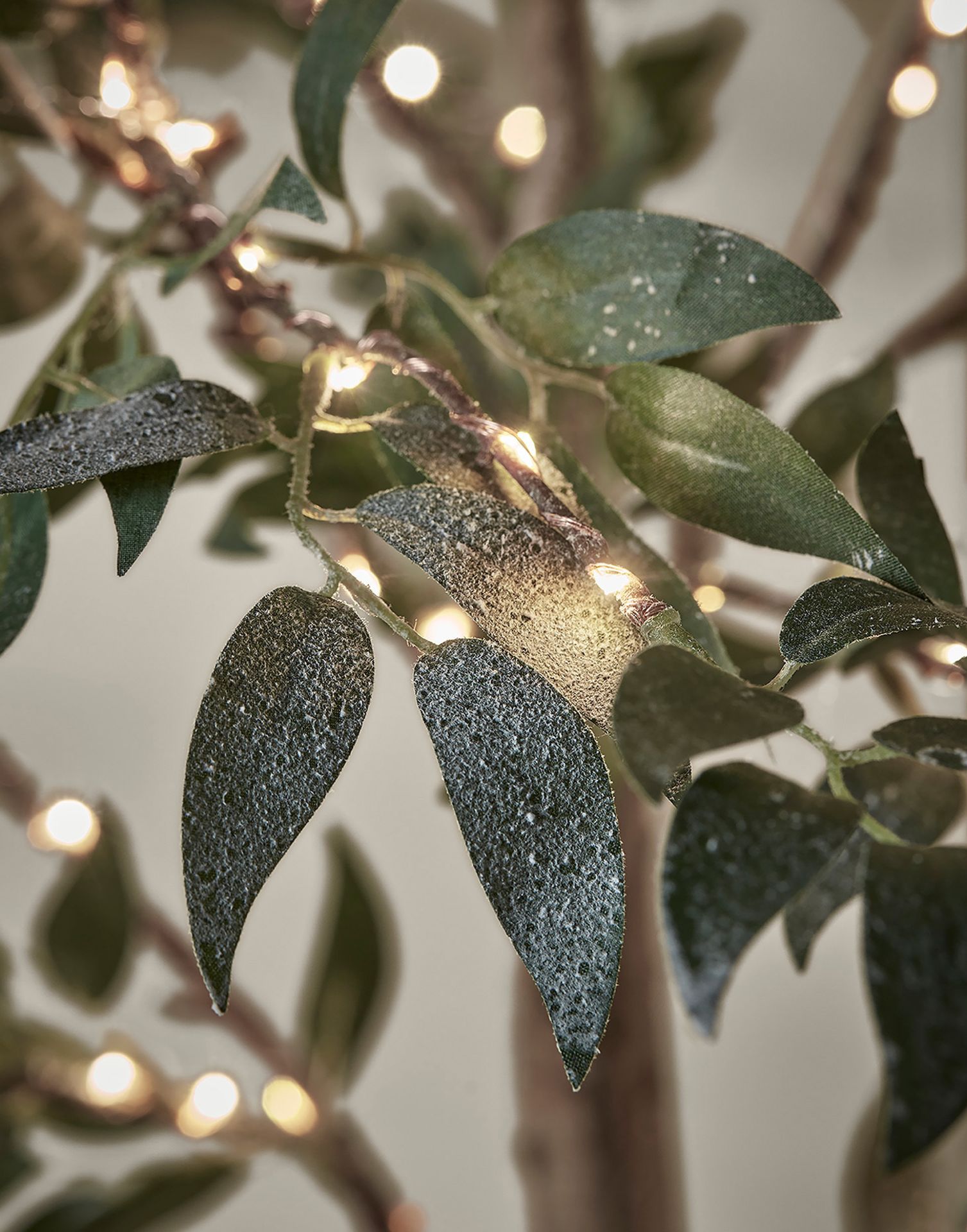 Cox & Cox Indoor Outdoor Pre-Lit Faux Olive Tree. RRP £215.00. This impressive Pre-Lit Faux Olive - Image 2 of 2