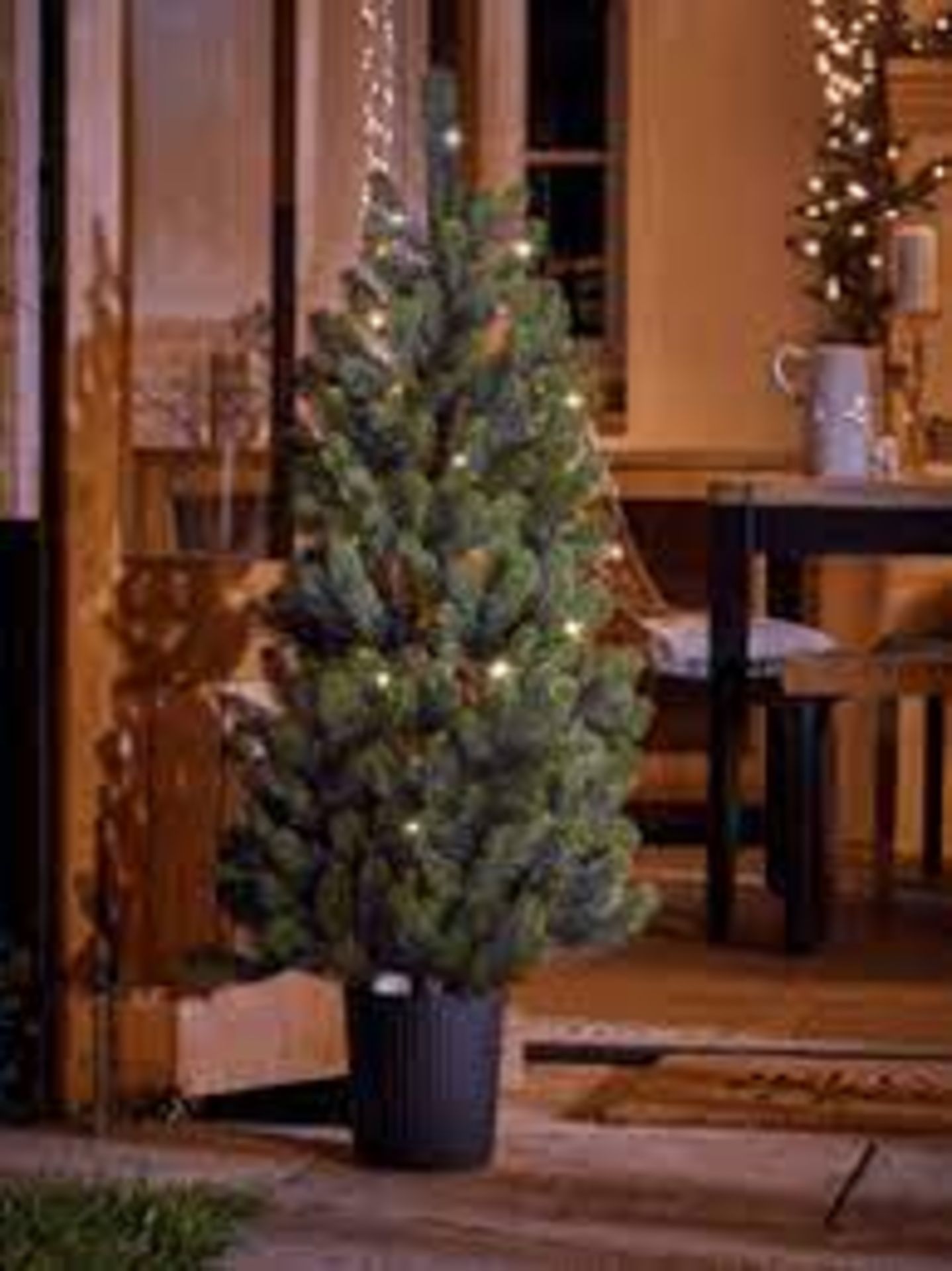Cox & Cox Indoor Outdoor Pre-Lit Potted Tree. RRP £135.00. - BI. Our Pre-Lit Potted Tree can be