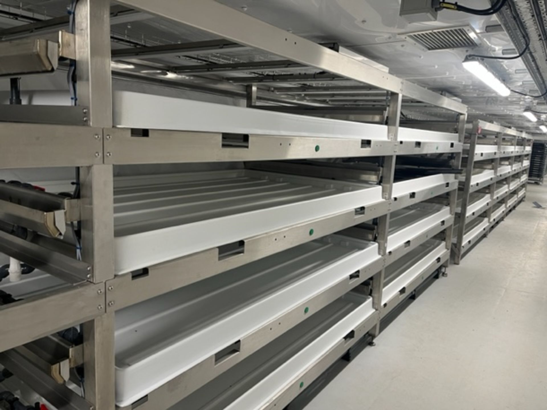 Growing Bay Contents Including 4 X Benches 2m X 1.2m Driver and 16 x Valoya 210 Mmols