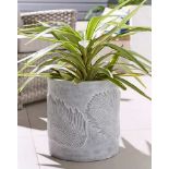 5x NEW & BOXED Leaf Emboss Planter. RRP £46 EACH. Beautifully crafted from fibre clay, this