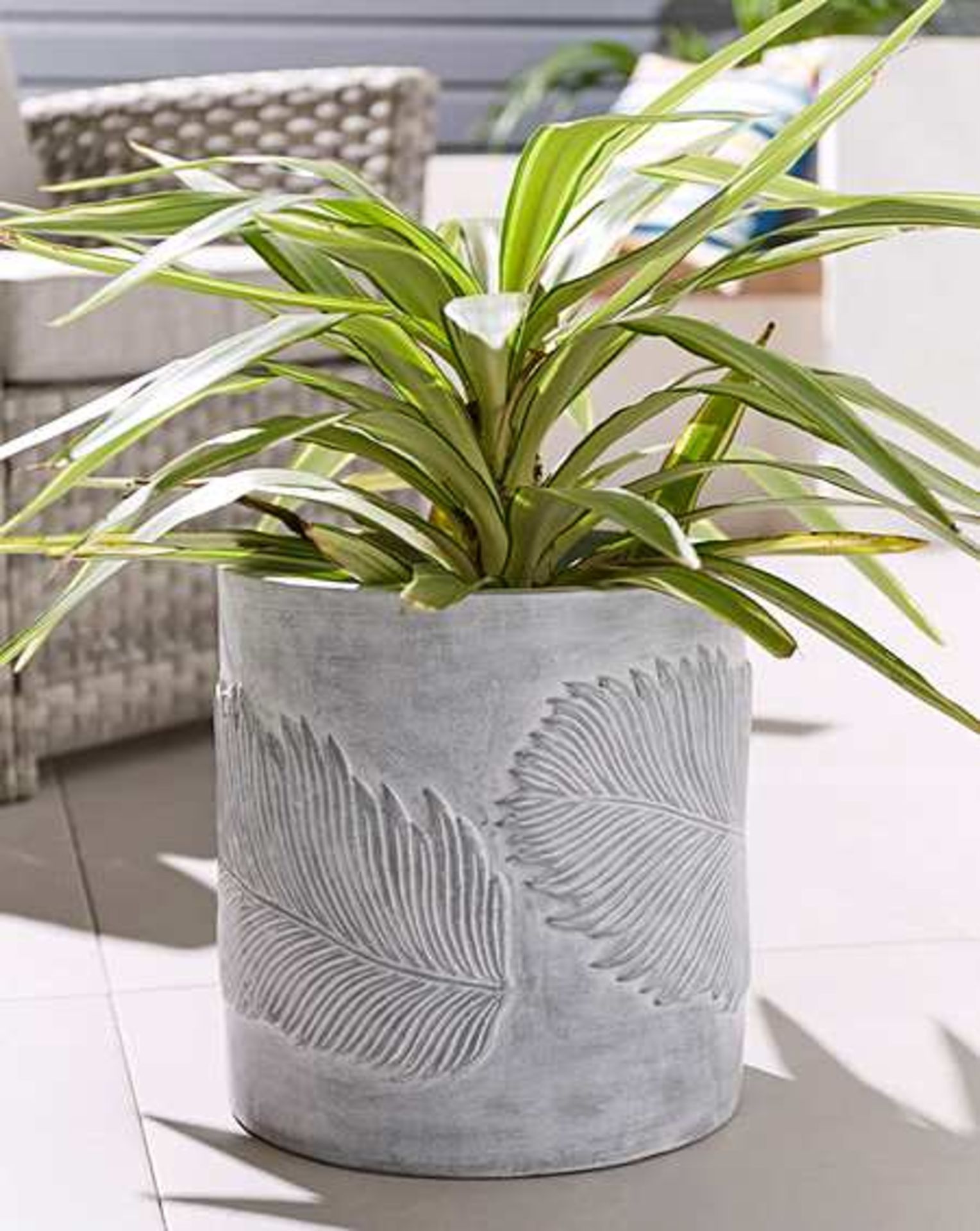 5x NEW & BOXED Leaf Emboss Planter. RRP £46 EACH. Beautifully crafted from fibre clay, this