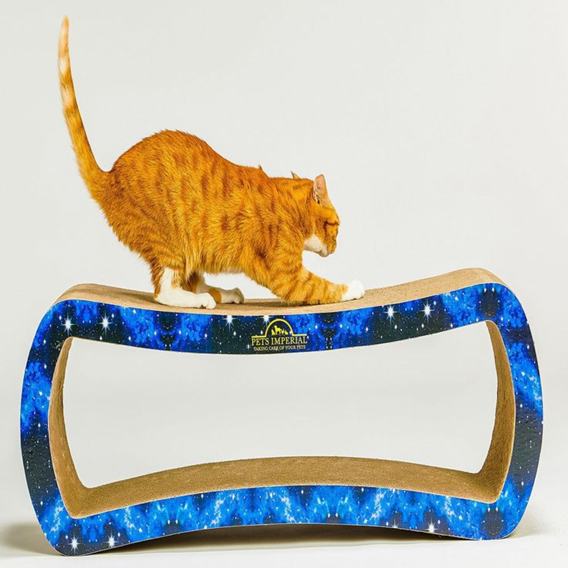 2x BRAND NEW PETS IMPERIAL EMPEROR CAT SCRATCHER LOUNGE WITH BLUE STARRY COLOR PAPER. (S1RA)